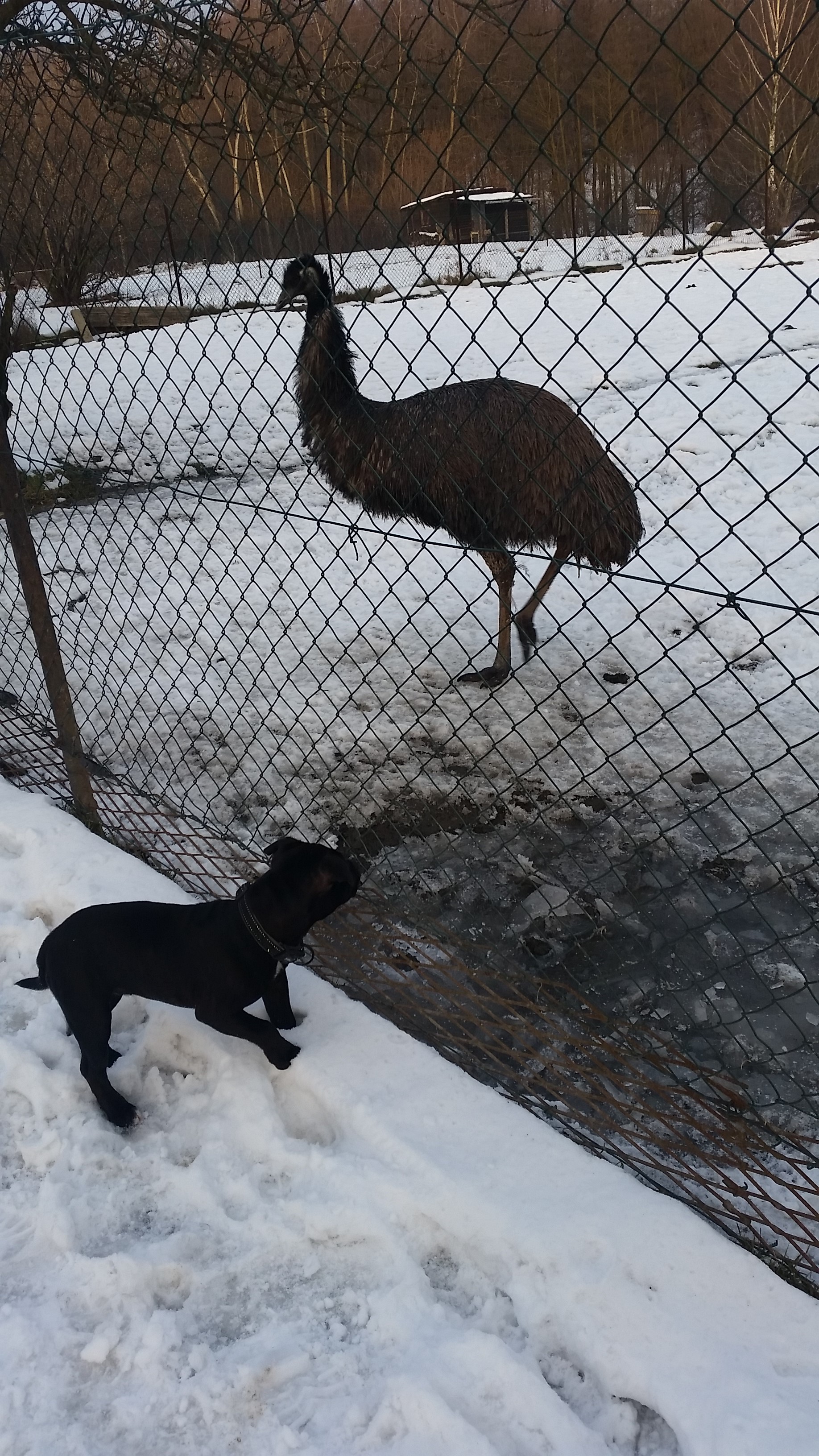 20150202_155826